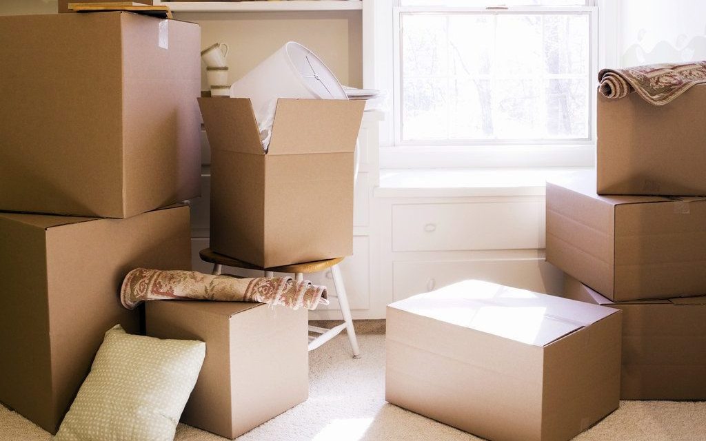 long distance moving day boxes 1024x817 1 e1755868348245